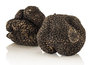 Winter truffle from Spain, fresh Catalonia