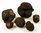 Winter noble truffles - Fresh | Italy Dec to March | pro gram