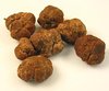 Bianchetti - tuber albidum, white spring truffles Morocco, per gram