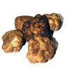 Bianchetti - tuber albidum white spring truffles Extra Italy