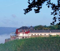 Weine Deutschland, deutsche Weine kaufen