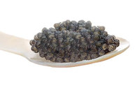 Trüffel, Kaviar, Austern | Fantastische Qualitäten