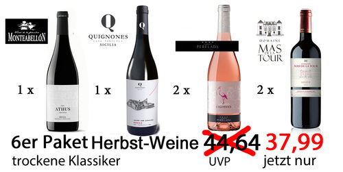 Herbstwein-Paket 2023 | Terranostra-Weinhandel | 6 Flaschen bester Wein