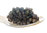 Desietra Baeriskaya (Imperial) Kaviar (Acipenser baerii) Aquakultur Deutschland 30g