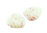 Amatller -  Weiße Schokoblätter mit Erdbeere (60g)