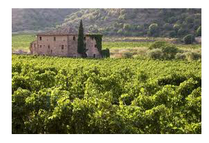 casa_gran_del_siurana_Terranostra-Weinhandel